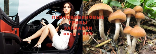 скорость Дмитриев