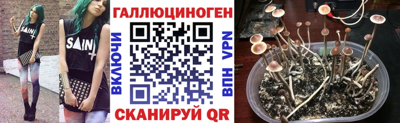 Псилоцибиновые грибы мицелий Купить Пестово